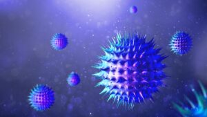 “Amenaza para la salud mundial”: nueva cepa de la 'viruela del mono' despierta preocupación en la OMS 16 “Amenaza para la salud mundial”: nueva cepa del virus del mono despierta preocupación en la OMS
