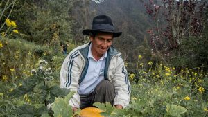Alístese Minsalud prepara cambios al Plan Nacional de Salud Rural
