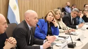 Argentina presenta su Plan Estratégico 2024-2025 para la prevención del dengue 4 Argentina presenta su Plan Estratégico 2024-2025 para la prevención del dengue