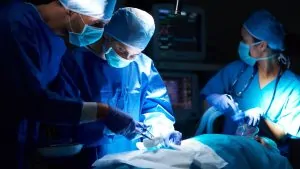 Cifras récord de donación de órganos en Brasil más de 14 mil trasplantes en el primer semestre de 2024
