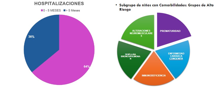 Grupos de alto riesgo VSR