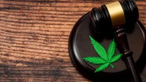 Minsalud propone cambios clave al acceso medicinal del cannabis en Colombia 19 Reglamentan uso medicinal e industrial del cannabis en Colombia