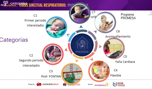 categorias programa promesa vsr