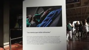 Con ‘Las manos que cuidamos’, Bogotá inicia conmemoración del mes mundial del ACV 14 Con ‘Las manos que cuidamos’, Bogotá inicia conmemoración del mes mundial del ACV