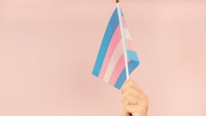Diferencias entre la UE y la OMS sobre el acceso a la salud de personas trans 21 Diferencias entre la UE y la OMS sobre el acceso a la salud de personas trans