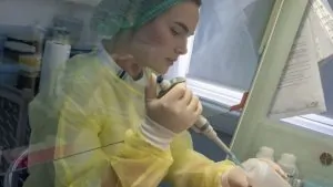 La OMS publicó lista de patógenos endémicos prioritarios que requieren con urgencia nuevas vacunas 10 La OMS publicó lista de patógenos endémicos prioritarios que requieren con urgencia nuevas vacunas